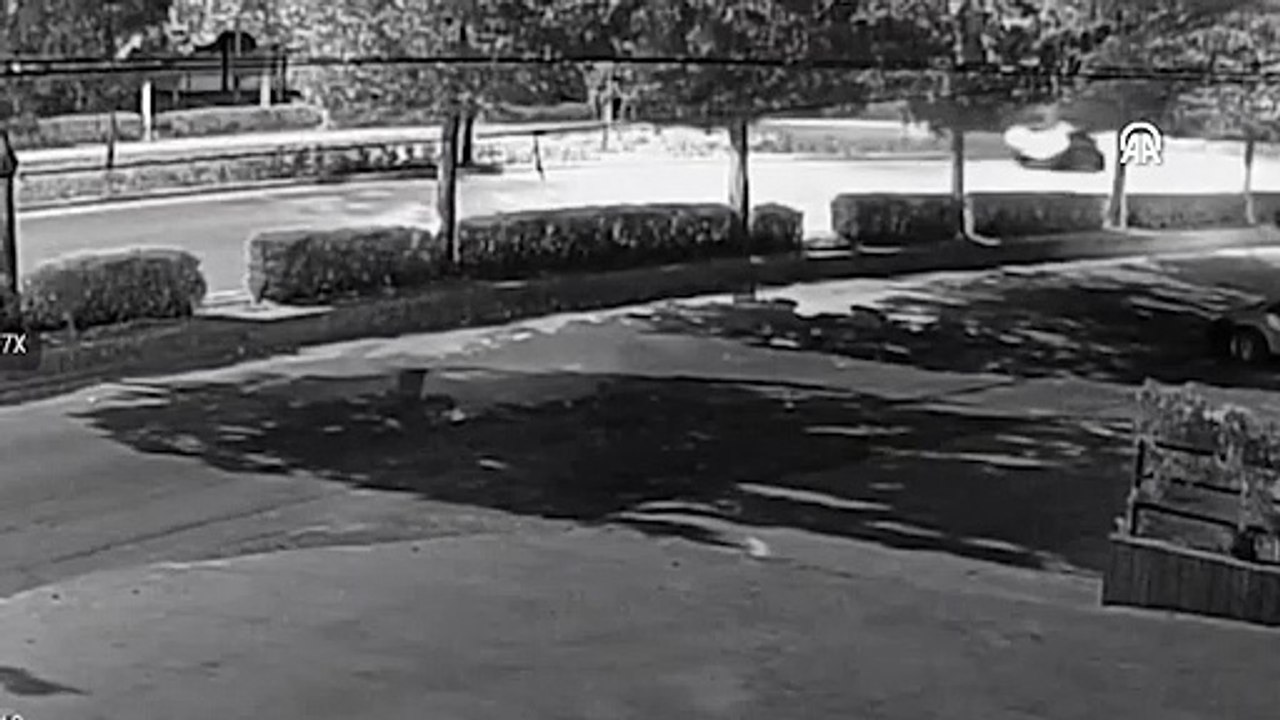 Ağaca çarpan otomobildeki 2 kişi öldü, sürücü ağır yaralandı