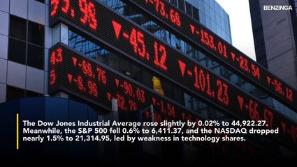 Palantir, AMD, Oracle And Nvidia Decline After-Hours- Here's What You Should Know