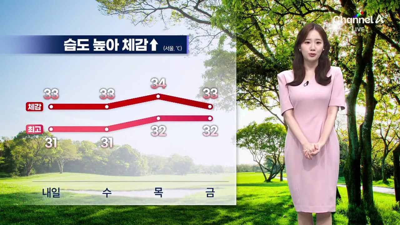 [날씨]서울 체감 33도 습한 더위…중북부 비