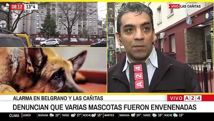 Testimonio de Sandra, que sufrió la muerte de su perro por envenenamiento