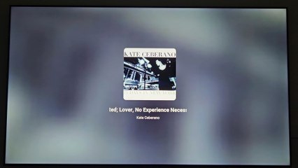 KATE CEBERANO - Wanted, Lover, No Experience Necessary (2004)