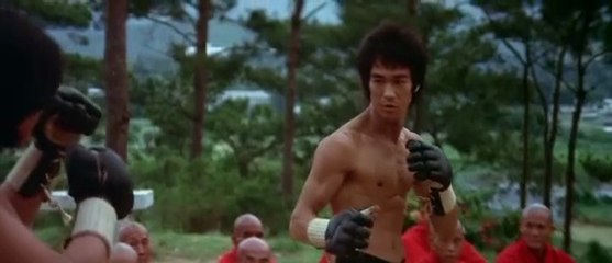 Enter The Dragon 1973