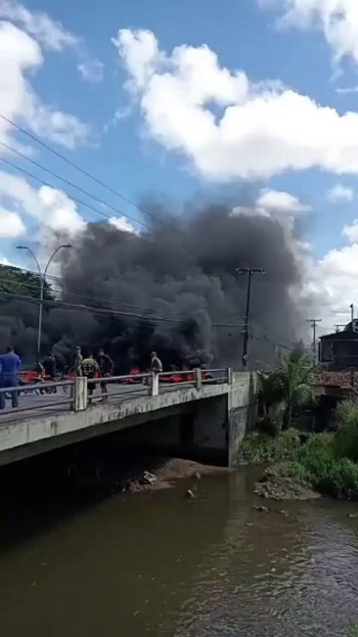 Protesto dos Carroceiros na Zona Sul do Recife