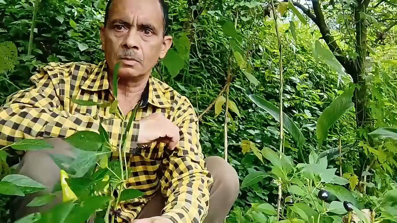 14 अगस्त की दिनचर्या Daily life Vlog of 14 Aug 2025