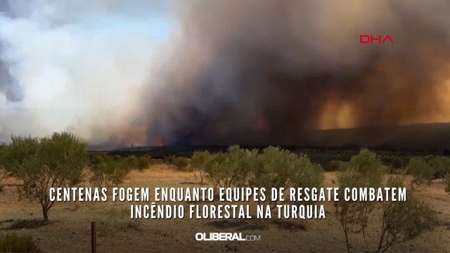 Centenas fogem enquanto equipes de resgate combatem incêndio florestal na Turquia