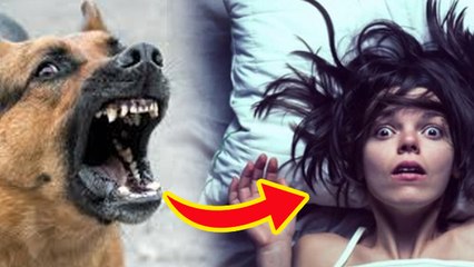 Dog Bite In Dream Meaning: सपने में कुत्ते के काटने का मतलब,कुत्ते के रोने या पीछा करने का अर्थ ?