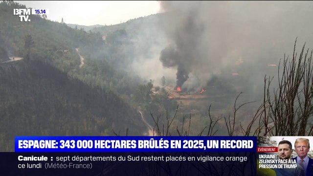 Incendies en Espagne: plus de 343.000 hectares brûlés en 2025, un record