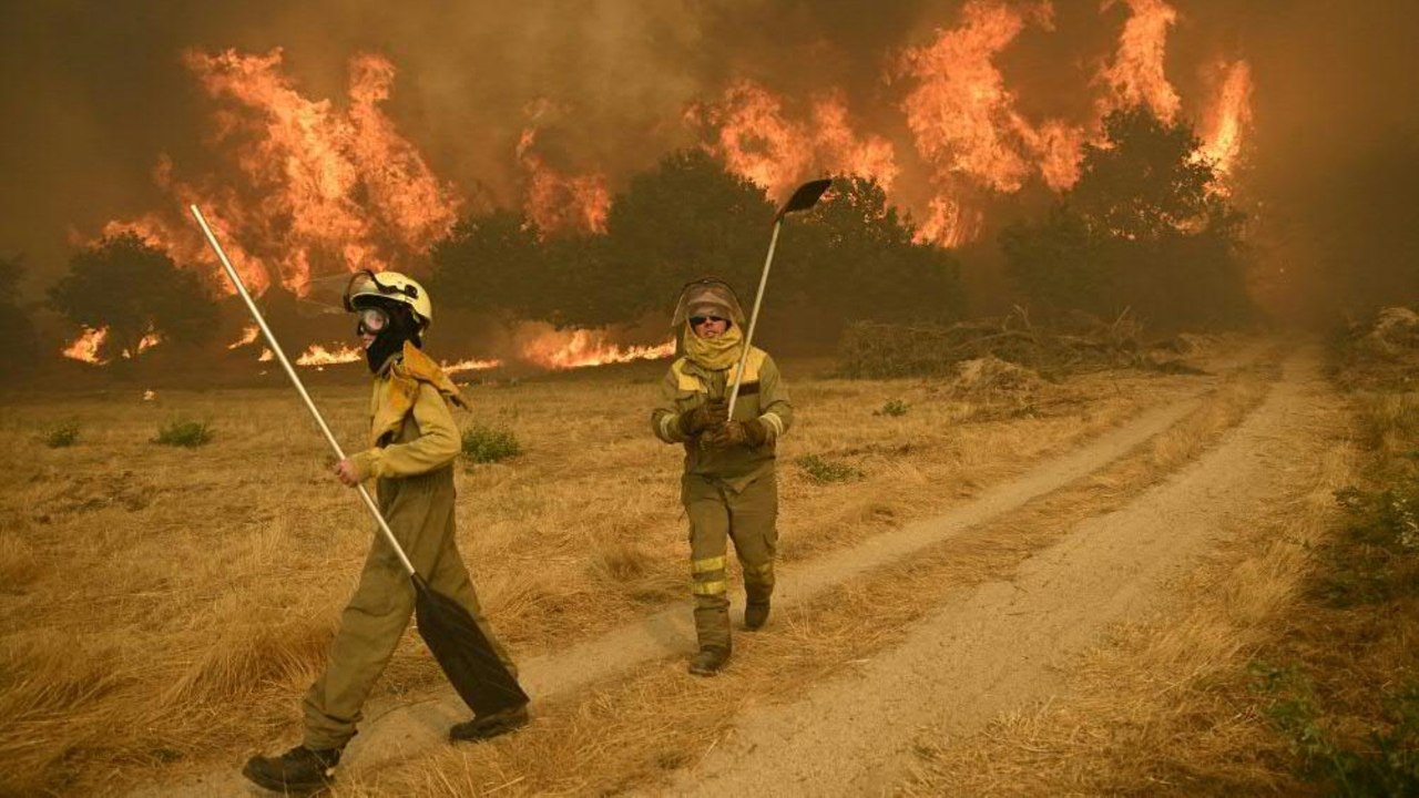 Waldbrände in Spanien haben dieses Jahr bereits Rekordfläche zerstört