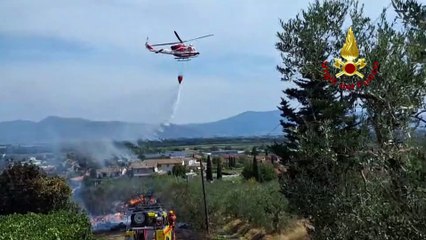 Poggio a Caiano (PO) - Incendio di vegetazione (18.08.25)