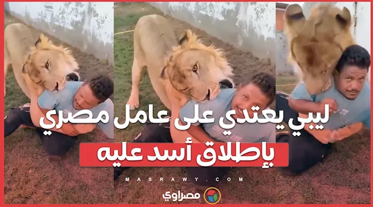 ليبي يعتدي على عامل مصري بإطلاق أسد عليه