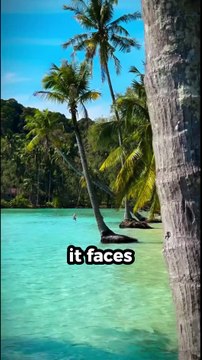 5 Countries That Could Disappear in the Future #facts #amazingfacts #islandlife #country #shorts