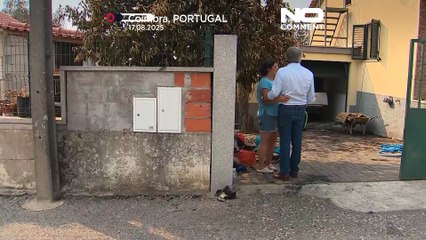 Portekiz'de yangınlarla mücadele sürüyor: 172.000 hektardan fazla alan yandı