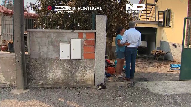 Portekiz'de yangınlarla mücadele sürüyor: 172.000 hektardan fazla alan yandı