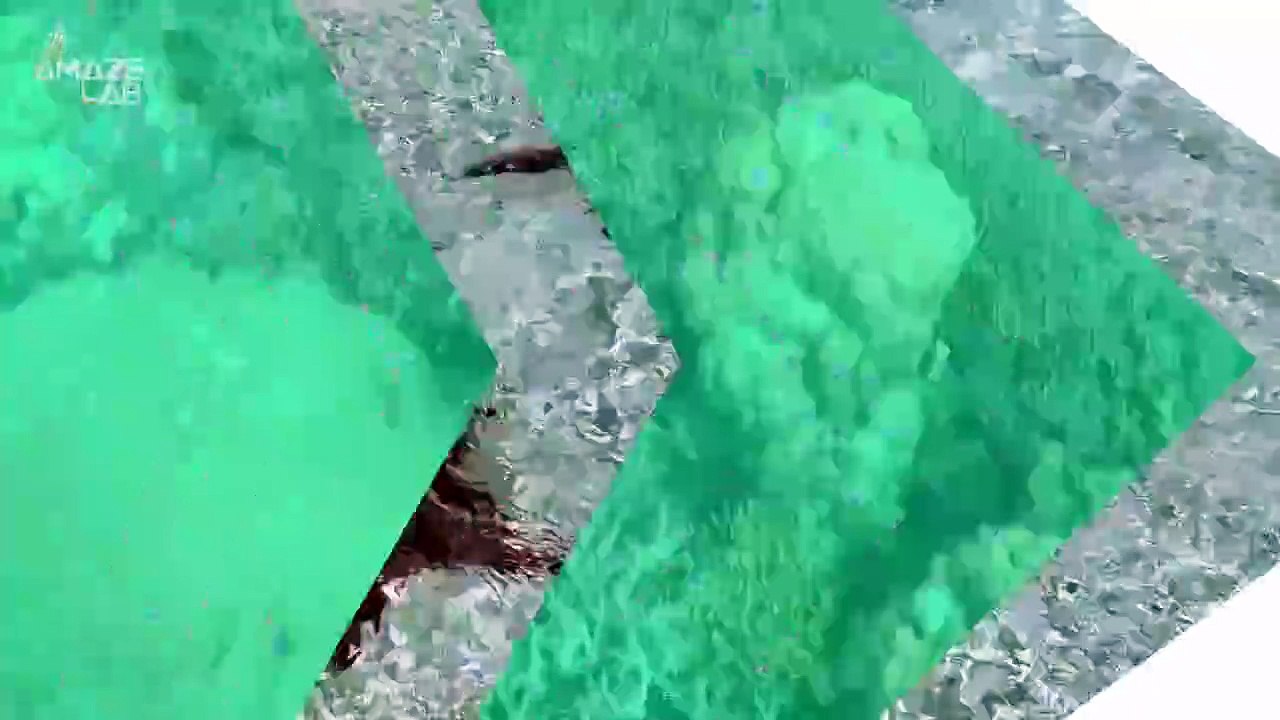 Why Are Thousands of Starfish Turning to Goo? Science Might Have the Answer