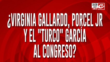 Virginia Gallardo, Porcelito y el "Turco" García... ¿las nuevas caras de la política argentina?