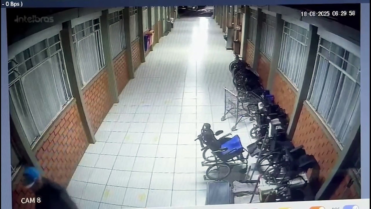 Novas imagens mostram que onça-parda passou parte da noite na APAE em Cascavel