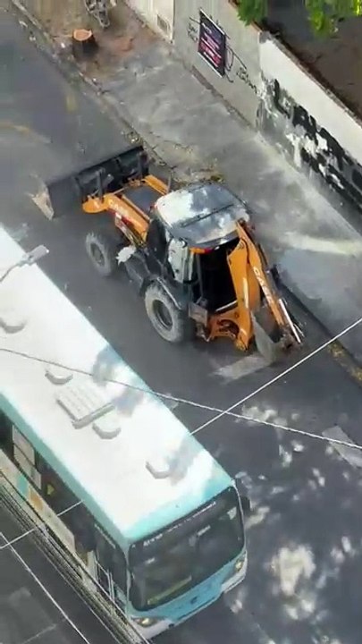 Moradores reclamam de corte de árvores em calçada de Fortaleza