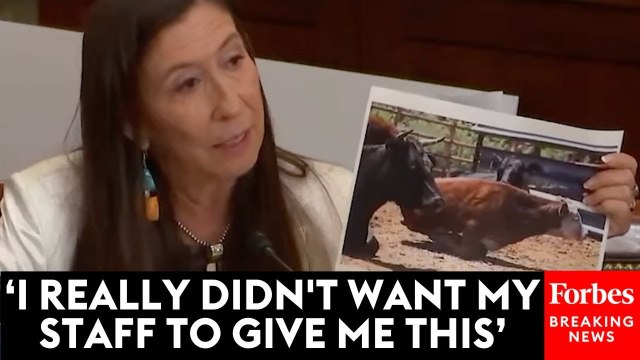 Teresa Leger Fernández Shows 'Heartbreaking' Photos In Bid To Compensate Ranchers With Lost Cattle