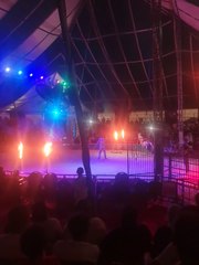 💥🙄مشاهد مرعبة جدا لاشتعال النيران بالسيرك القومي المصري