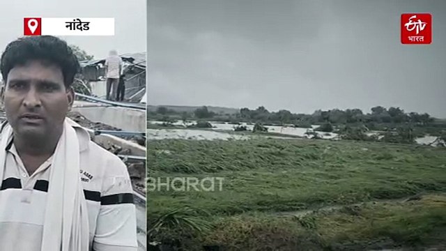 नांदेडच्या मुखेड तालुक्यात ढगफुटीसदृश्य पाऊस; दीड कोटींच्या म्हशी गेल्या वाहून गेल्याचा दावा
