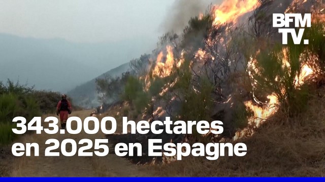 Deux pompiers sont morts dans les incendies historiques qui frappent l'Espagne et le Portugal