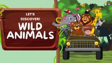 Wild Animal Wonders | Jungle Animal Poem for Kids & Toddlers #kidspoem #kidsrhymes |Education Videos | Preschool Learning |