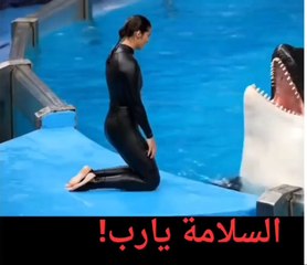 امرأة تضع رأسها داخل فم دلفين بطريقة جريئة ومجنونة 😱🐬هل هي شجاعة؟ ولا مجازفة؟ شاركونا رأيكم   #تجربة_فريدة #تجربة_مذهلة #حيوانات_بحرية #اكسبلور #لحظة_مجنونة #الطبيعة_البحرية #عالم_البحر #انستغرام_العرب #تيك_توك_عرب #لحظة_لا_تُنسى #حياة_البحر