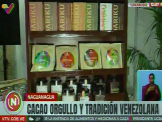 Carabobo | Cacao venezolano: Orgullo nacional y tradición que endulza la vida