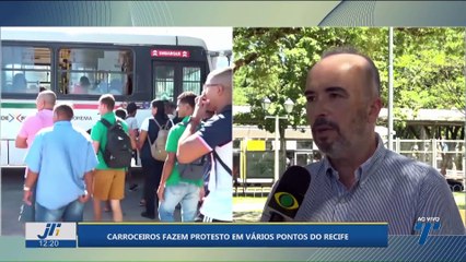 Carroceiros fazem protesto em vários pontos do Recife