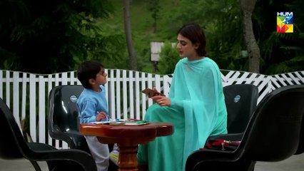 Yakeen Ka Safar - Last Episode 29