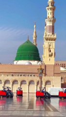 Phir Ke Gali Gali Tabaah Thokare Sab Ki Khayen Kyoon | Short WhatsApp Status | Our Voice • Hameem Raza#Naat #Status #Short #Kalam #Hameemhameem