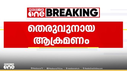 കോഴിക്കോട് വീണ്ടും തെരുവുമായ ആക്രമണം; വടകരയിൽ   നാല് വയസുകാരന് തെരുവുനായയുടെ കടിയേറ്റു | Dog Bite