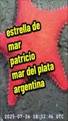 La famosa estrella culona del CONICET explicada