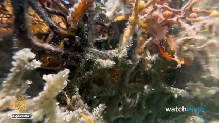 10 Scariest Moments in Recent World History That NOBODY Is Talking About