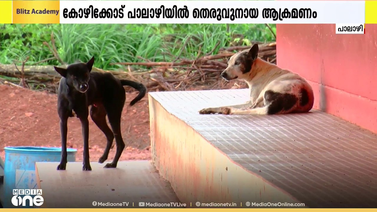 കോഴിക്കോട് പാലാഴിയിൽ തെരുവുനായ ആക്രമണം; നാലു പേ...