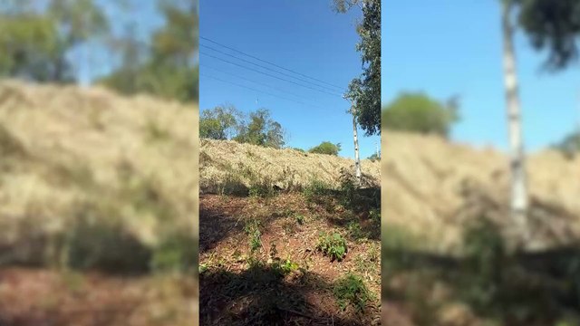 Colega detalha acidente que matou funcionários de empresa de segurança armada de Cascavel na BR-158, em Laranjeiras do Sul