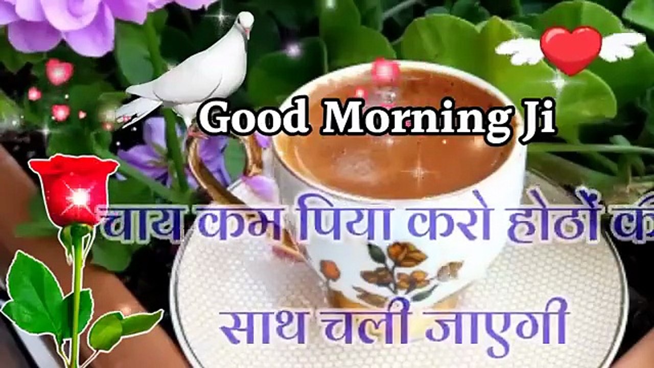 चाय कम पिया करो __होठों की शान चली जायेगी__मॉर्निंग लव शायरी वीडियो__शुभ प्रभात शायरी