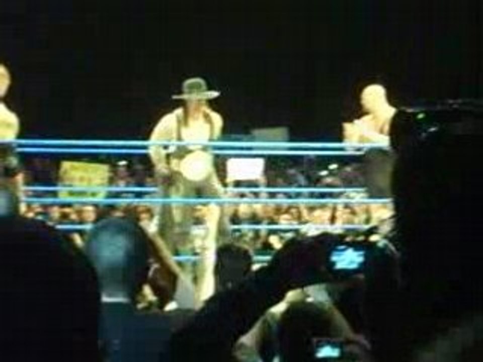 fin entrée undertaker zénith strasbourg