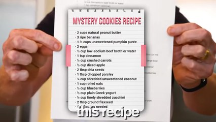 I Rescued a LOST DOG! Will I Keep Him