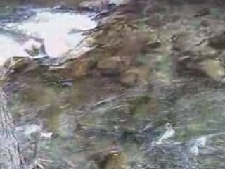 Pêche à la truite en haute Vésubie