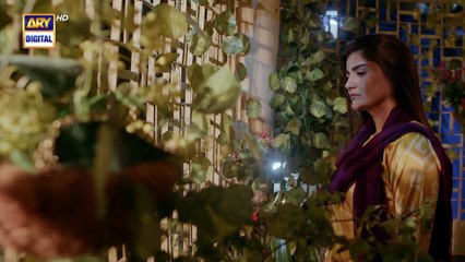 Pal Do Pal EP - 20: Love's Slow Fade 💔