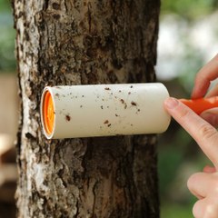 Avoid pests in your pleasure ground and save plants from diseases: 👨‍🌾