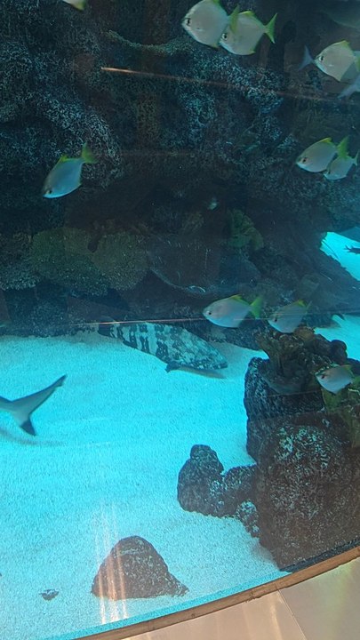 king Abdulaziz international airport