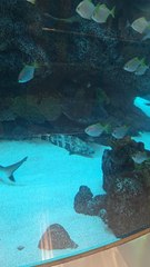 king Abdulaziz international airport