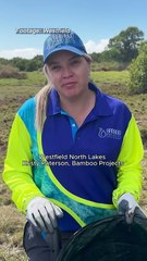 Vote for Your Westfield Local Hero: Help Them Win a $20,000 Grant