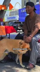 Un héroe sin hogar, pero con un gran corazón 🐾🌟