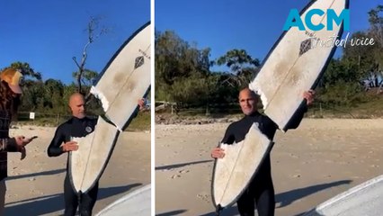 Surfer’s close call after shark takes huge chunk out of board