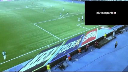 MELHORES MOMENTOS BOTAFOGO O X 1 PALMEIRAS BRASILEIRÃO