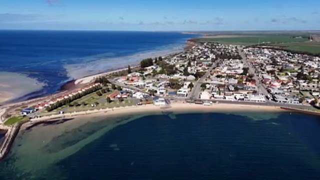 Government relief expands for small businesses affected by ongoing agal bloom in South Australia