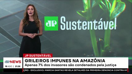 Grileiros saem impunes na Amazônia por demora da Justiça